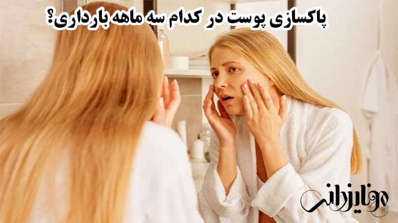 پاکسازی پوست در بارداری 4 پاکسازی پوست صورت در کدام سه ماه بارداری؟